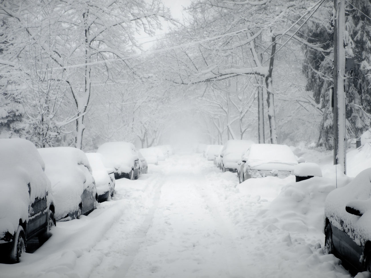 Vous aider à vous remettre des rigueurs de l'hiver  