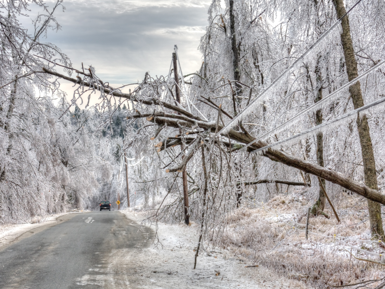 La tempête hivernale Fern devrait frapper les États-Unis.
