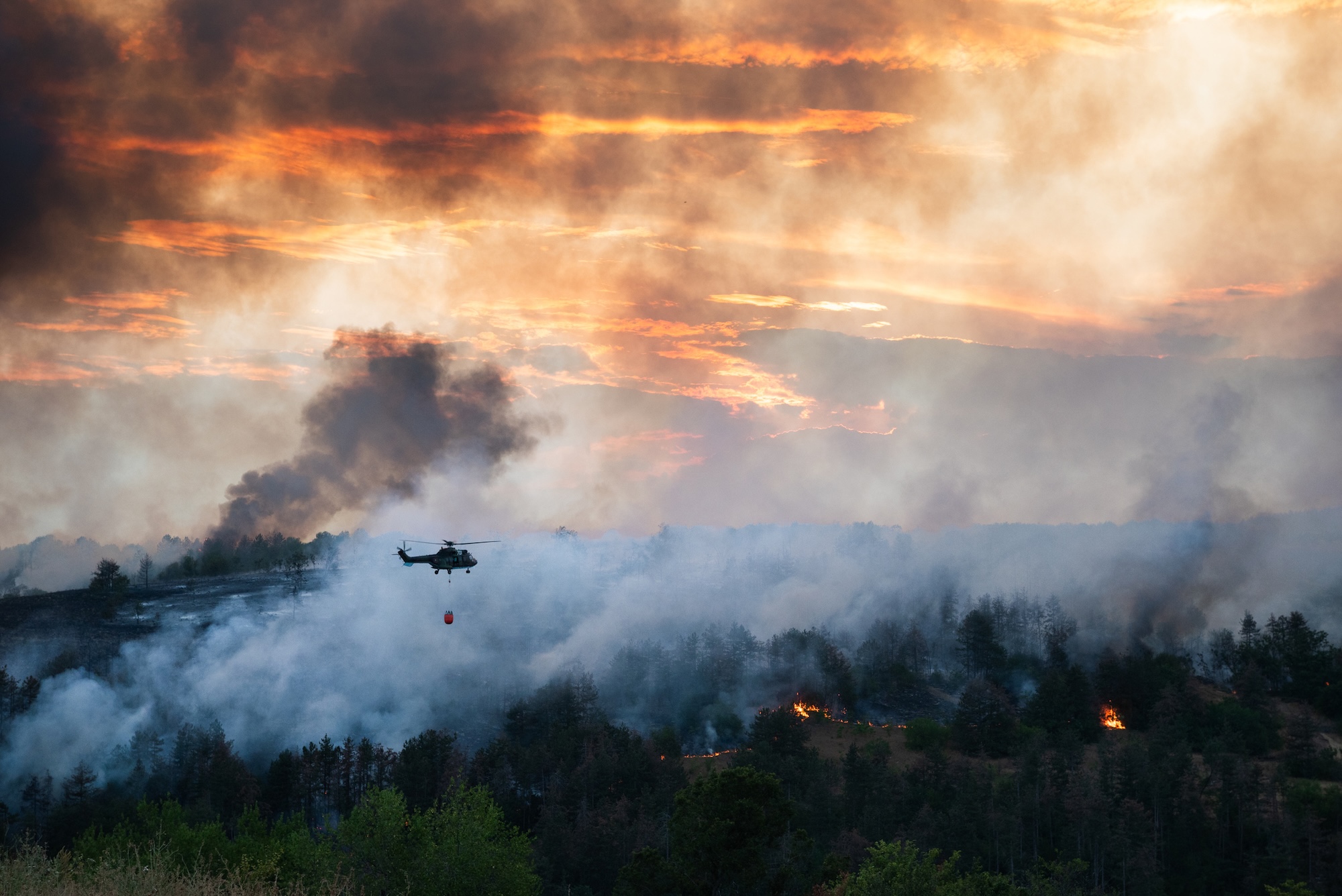 How to Prepare Ahead of Wildfire Season