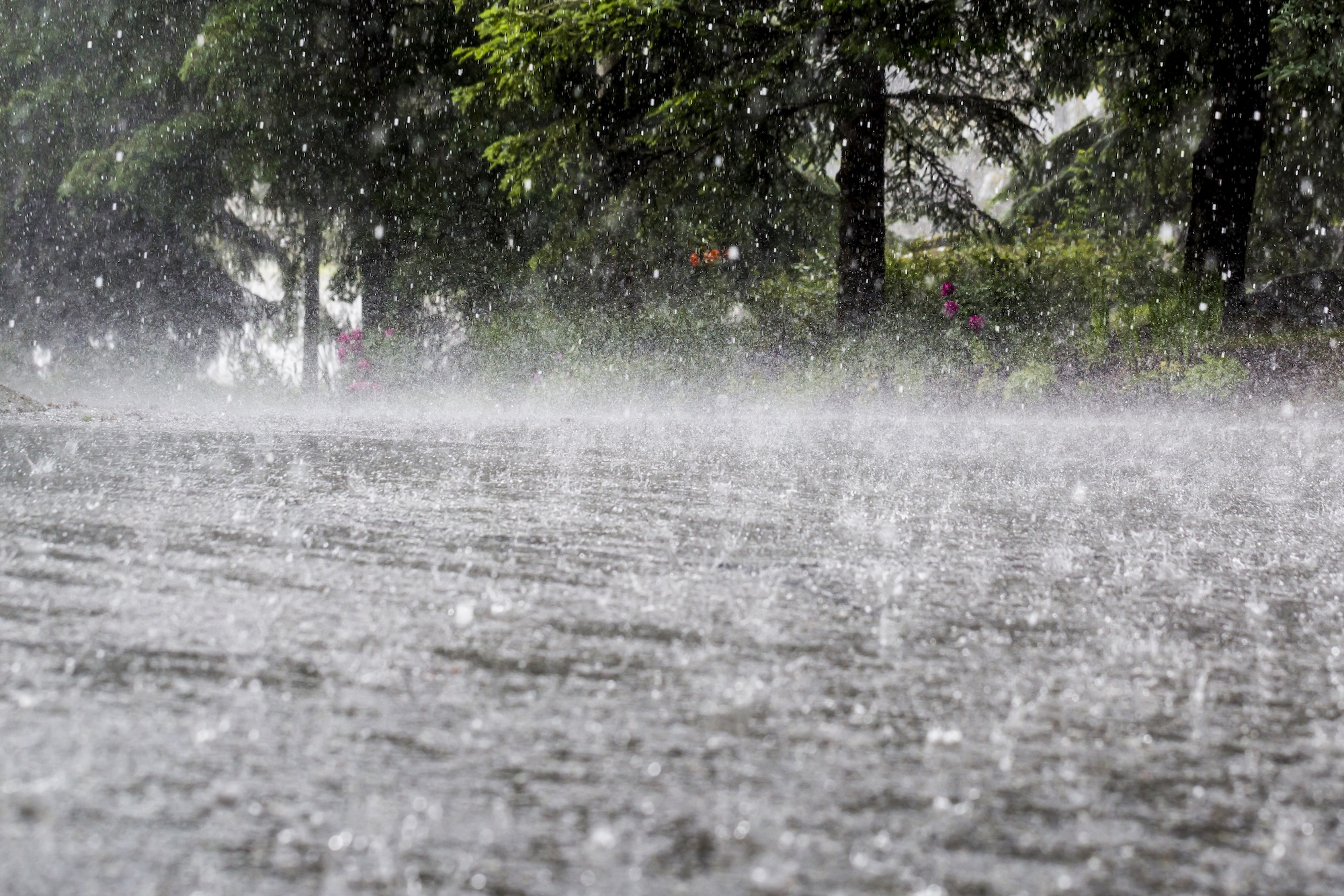 Historic flooding devastates Hawaii