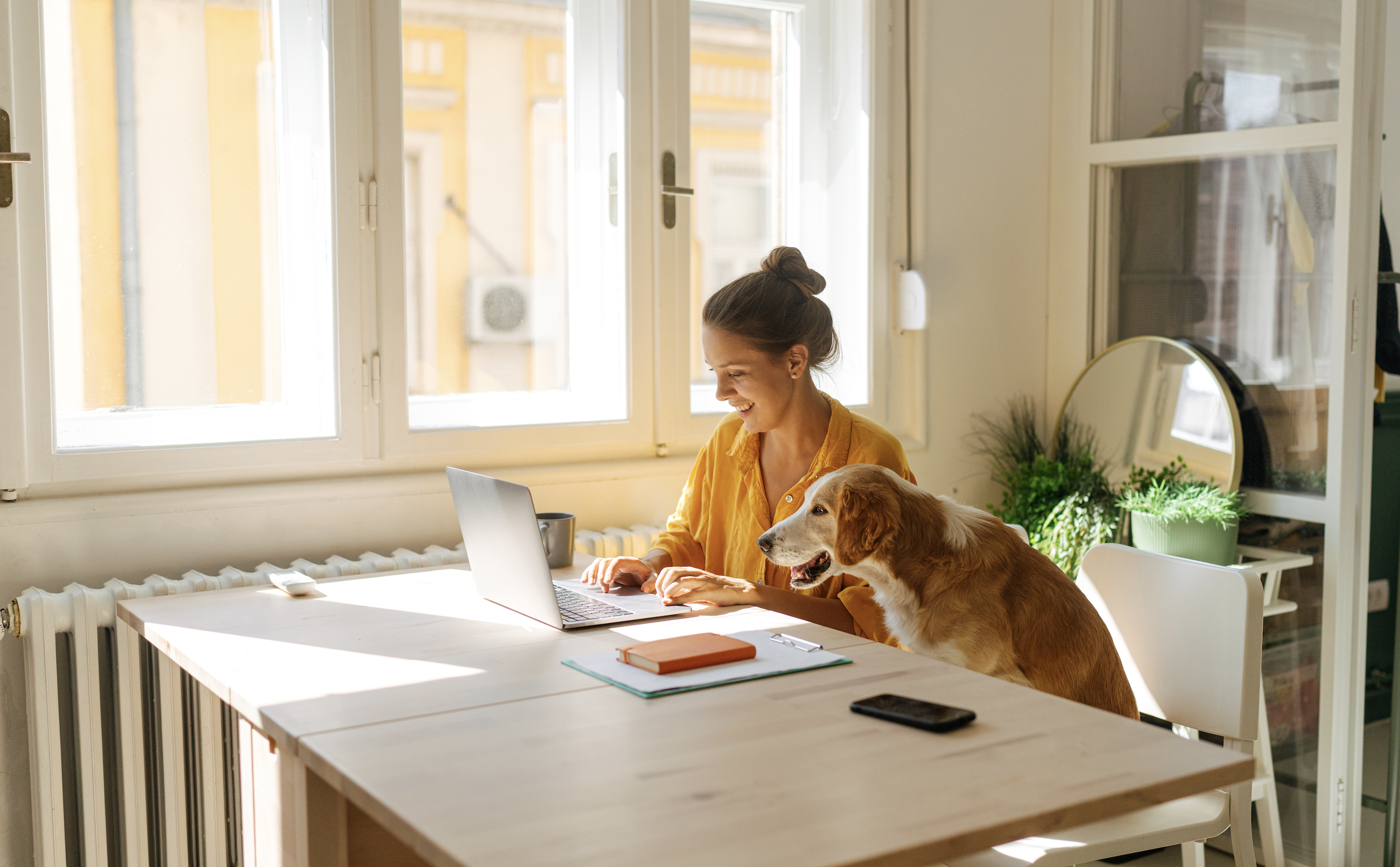 Exploring the complexity of a remote employeeas work state