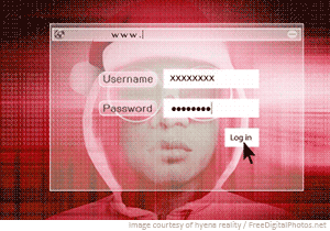 fraud hacker grinch